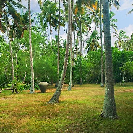 Lagoon House Rekawa Tangalle Eksteriør bilde