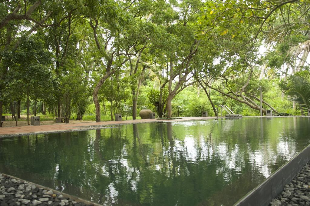 Lagoon House Rekawa Tangalle Eksteriør bilde