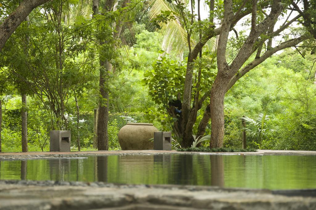Lagoon House Rekawa Tangalle Eksteriør bilde